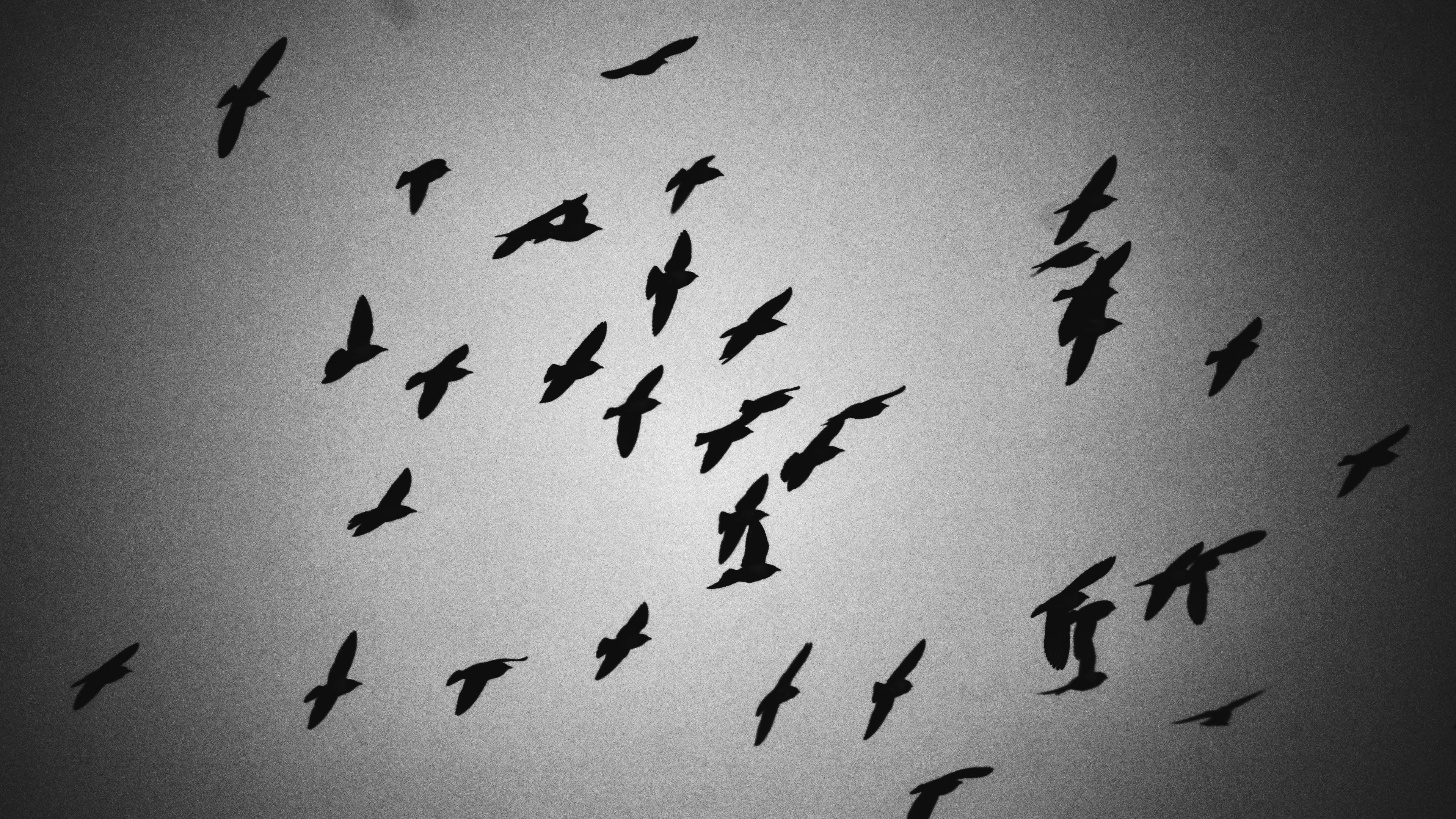 AF05 - Image 5