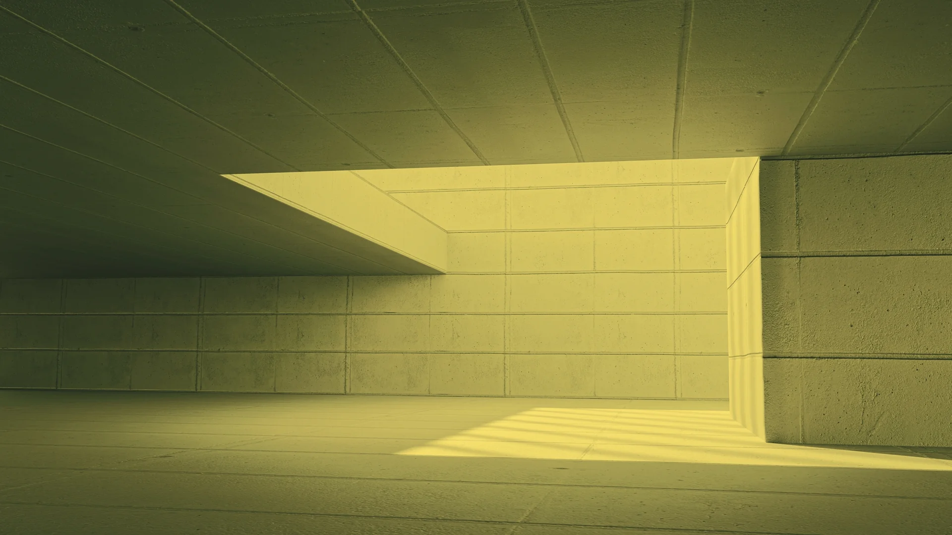 BR01 - Image 4