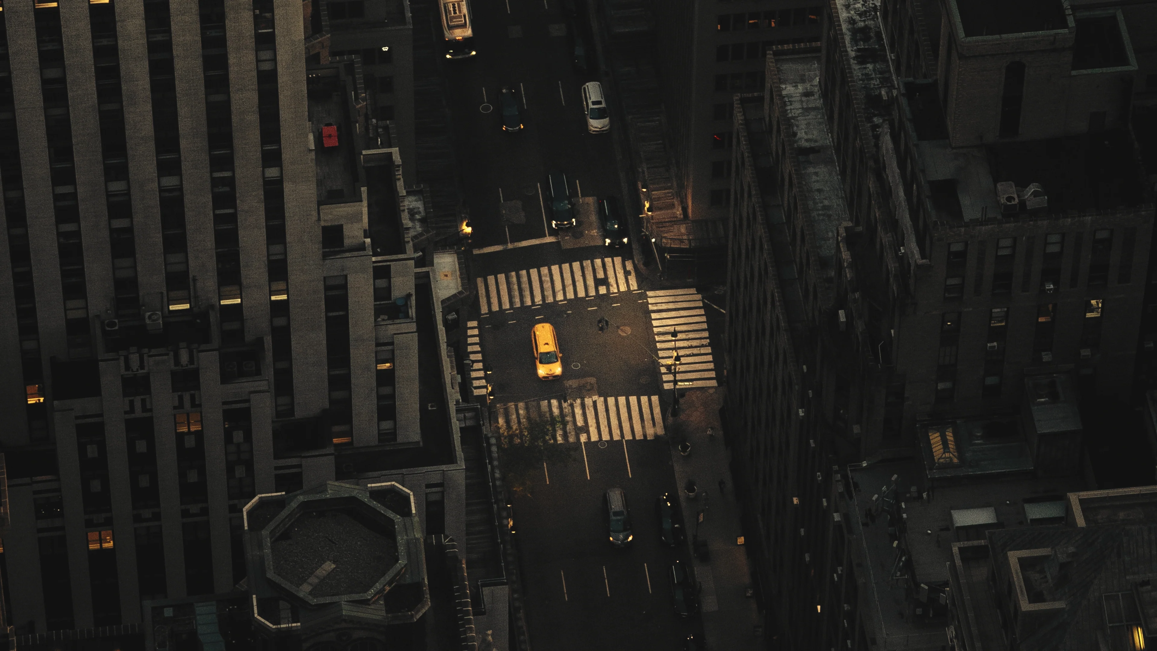 BRONZE NOIR - Image 5