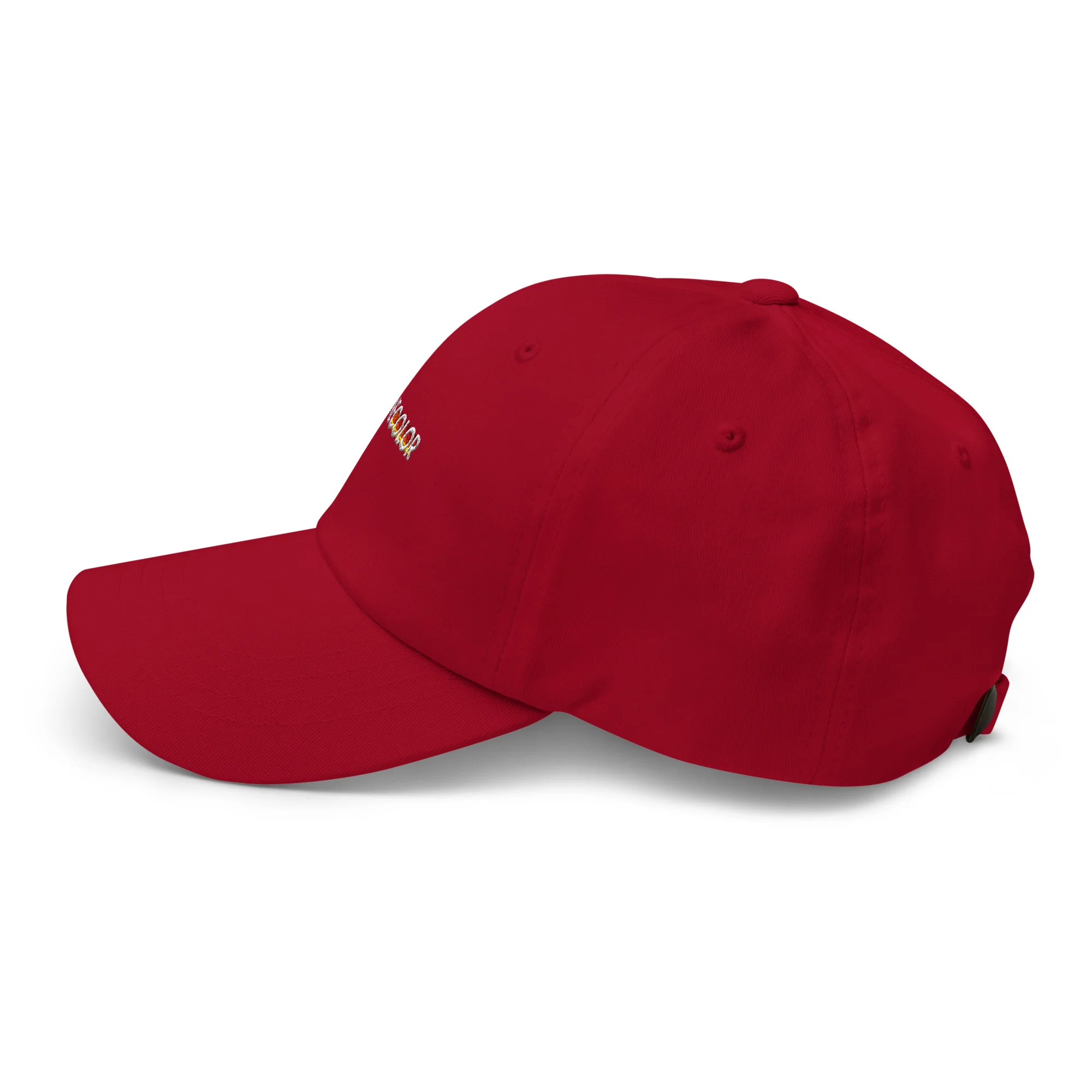 Classic Cinecolor Dad Hat - Image 16