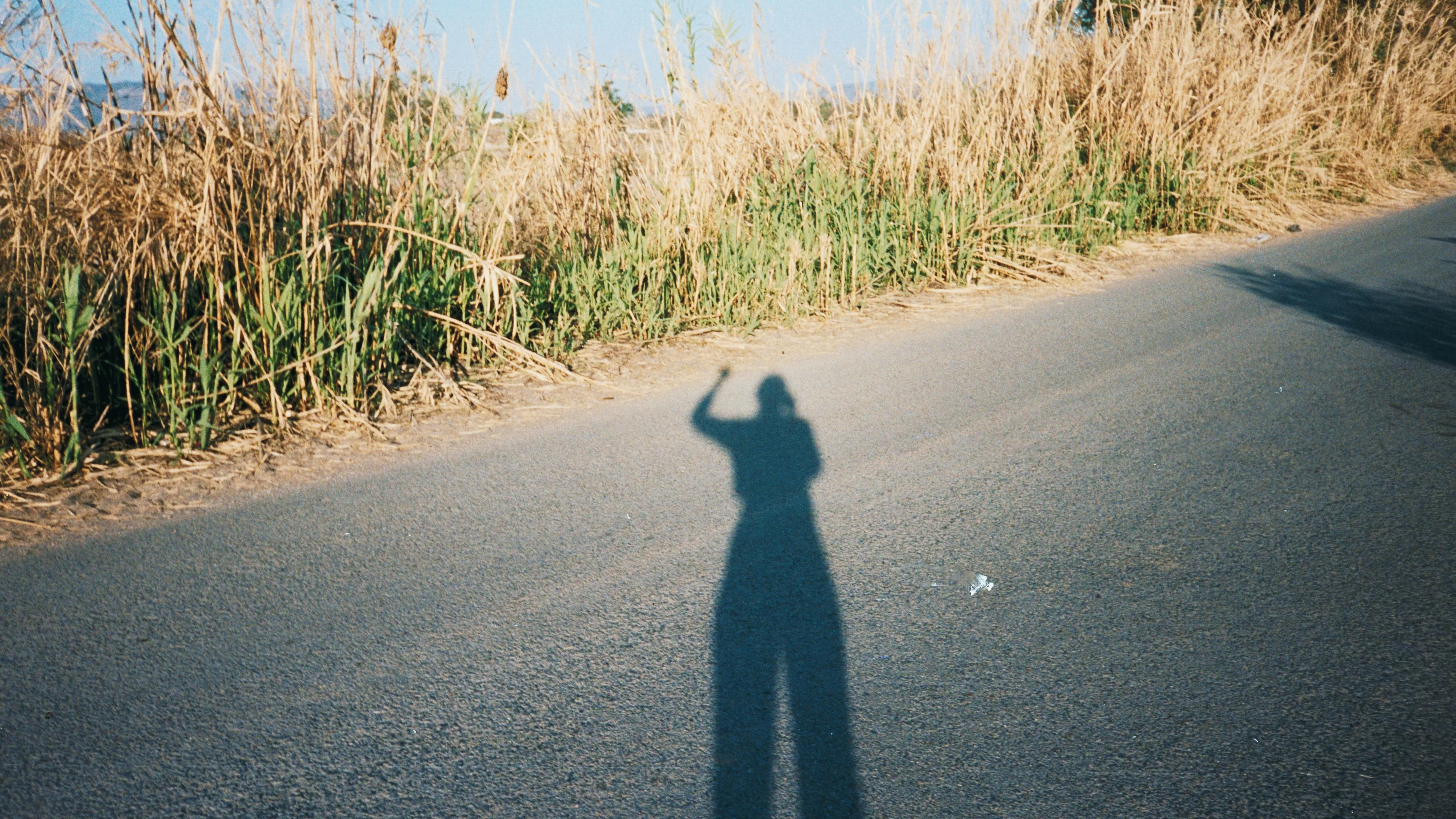 COLOR EQ - Image 5
