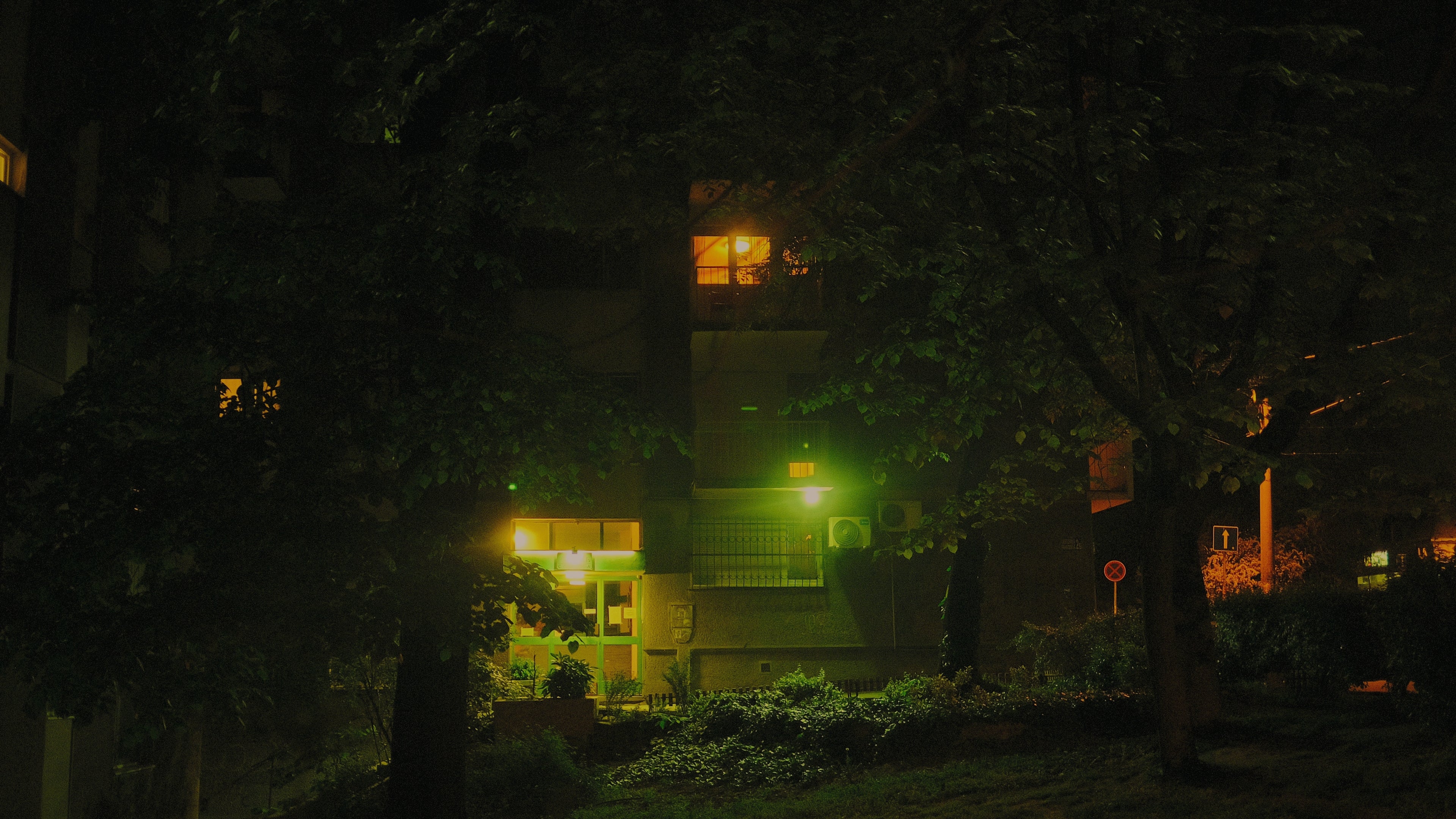 DL02 - Image 4