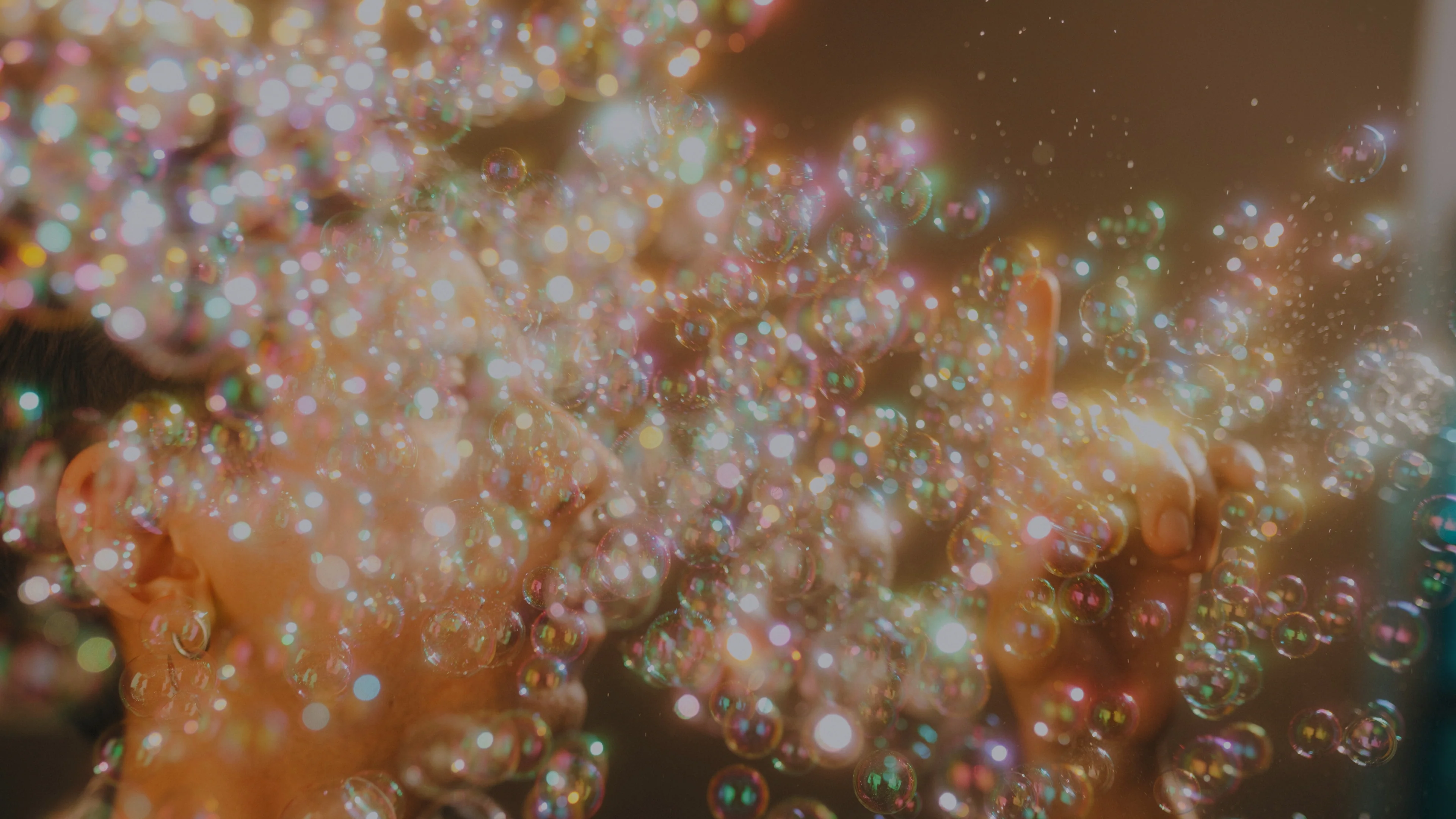 DL02 - Image 5
