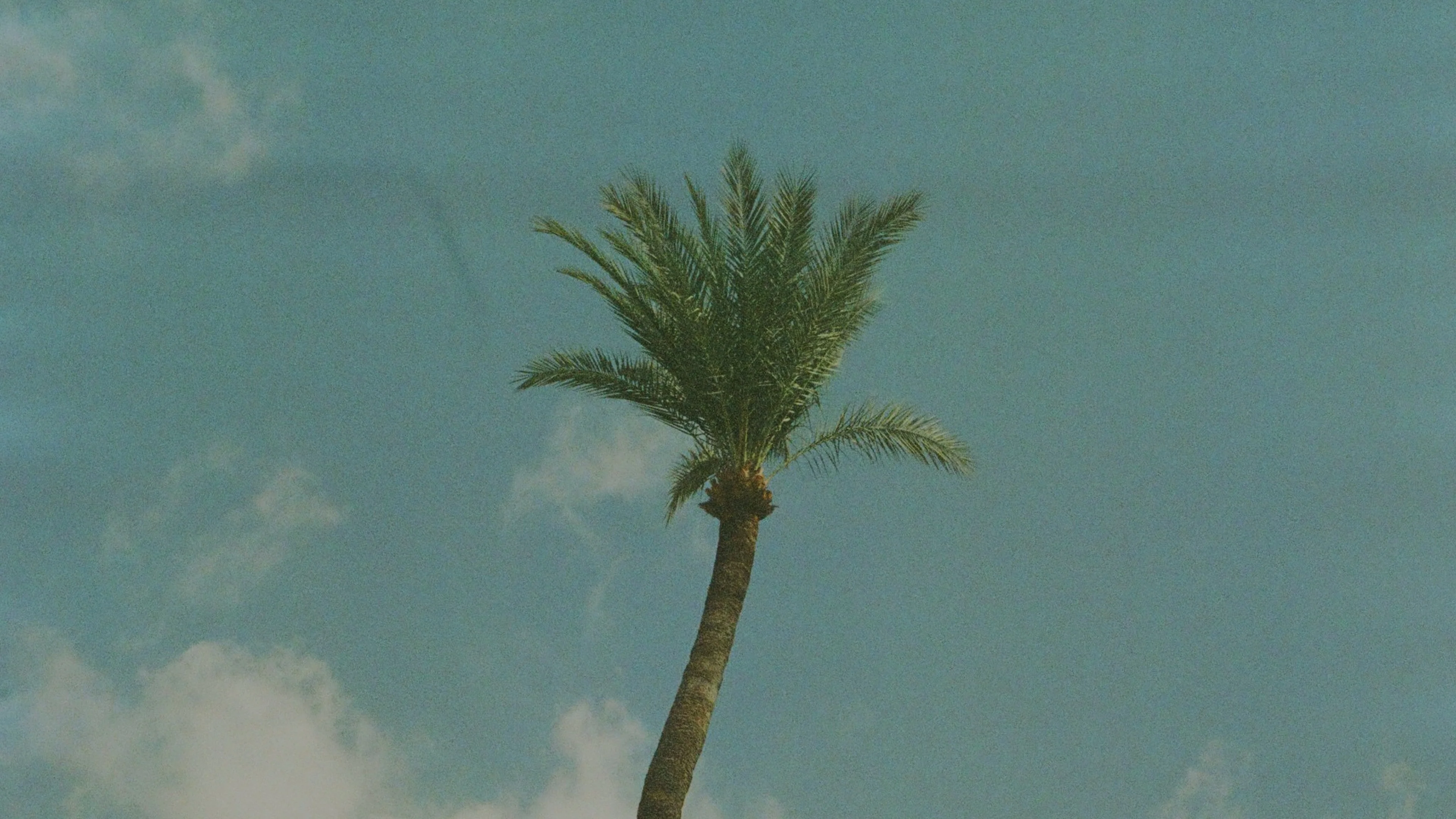 DL02 - Image 7