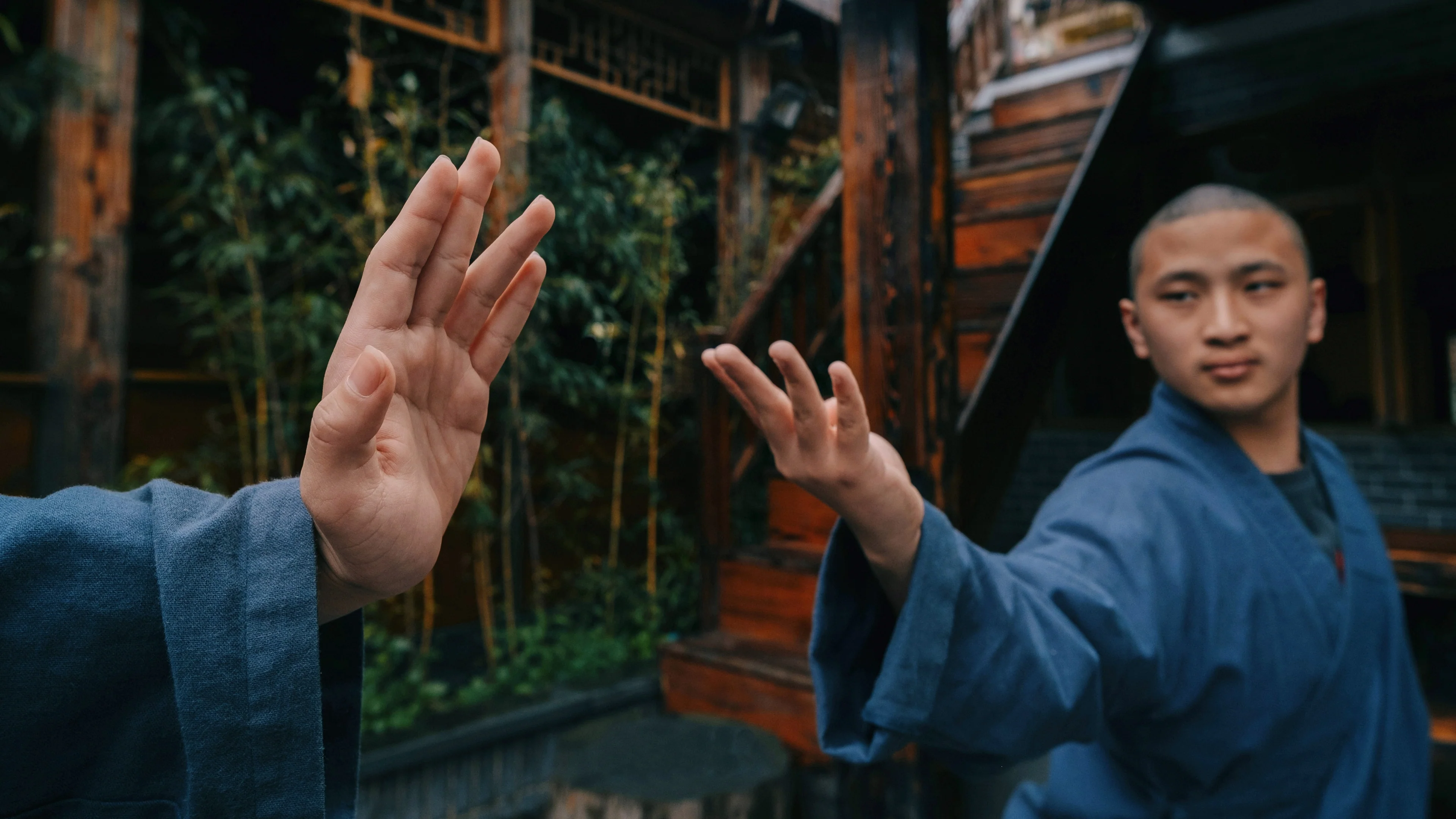 DOCUMENTARY MASTER COLLECTION - Image 8