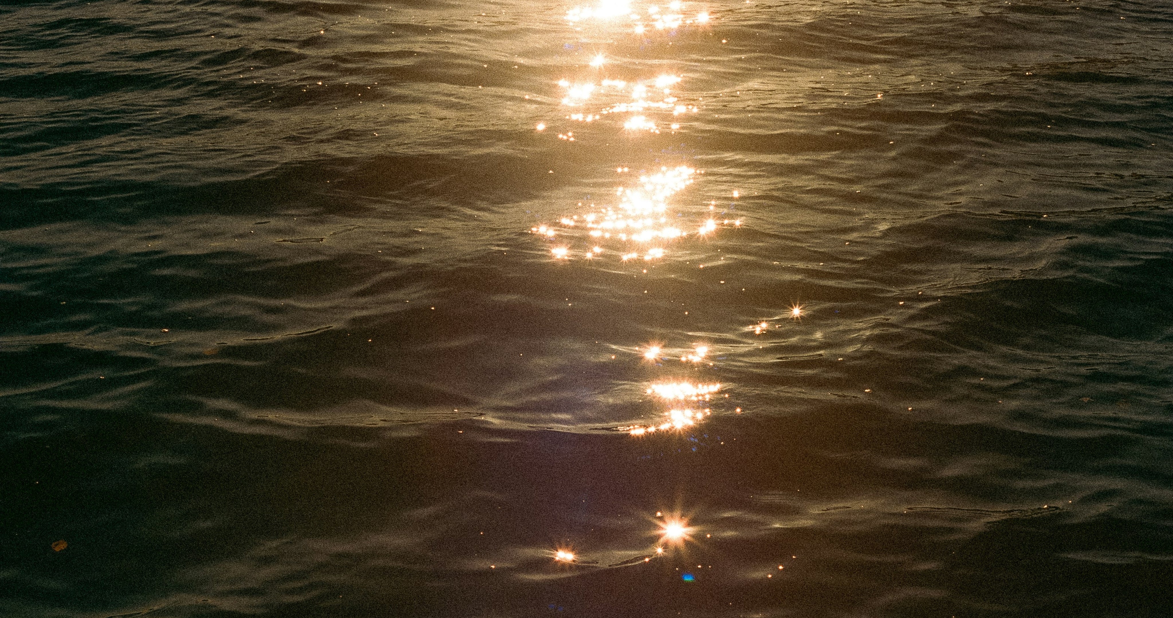 FILMLAB: TEXTURE + COLOR - Image 4