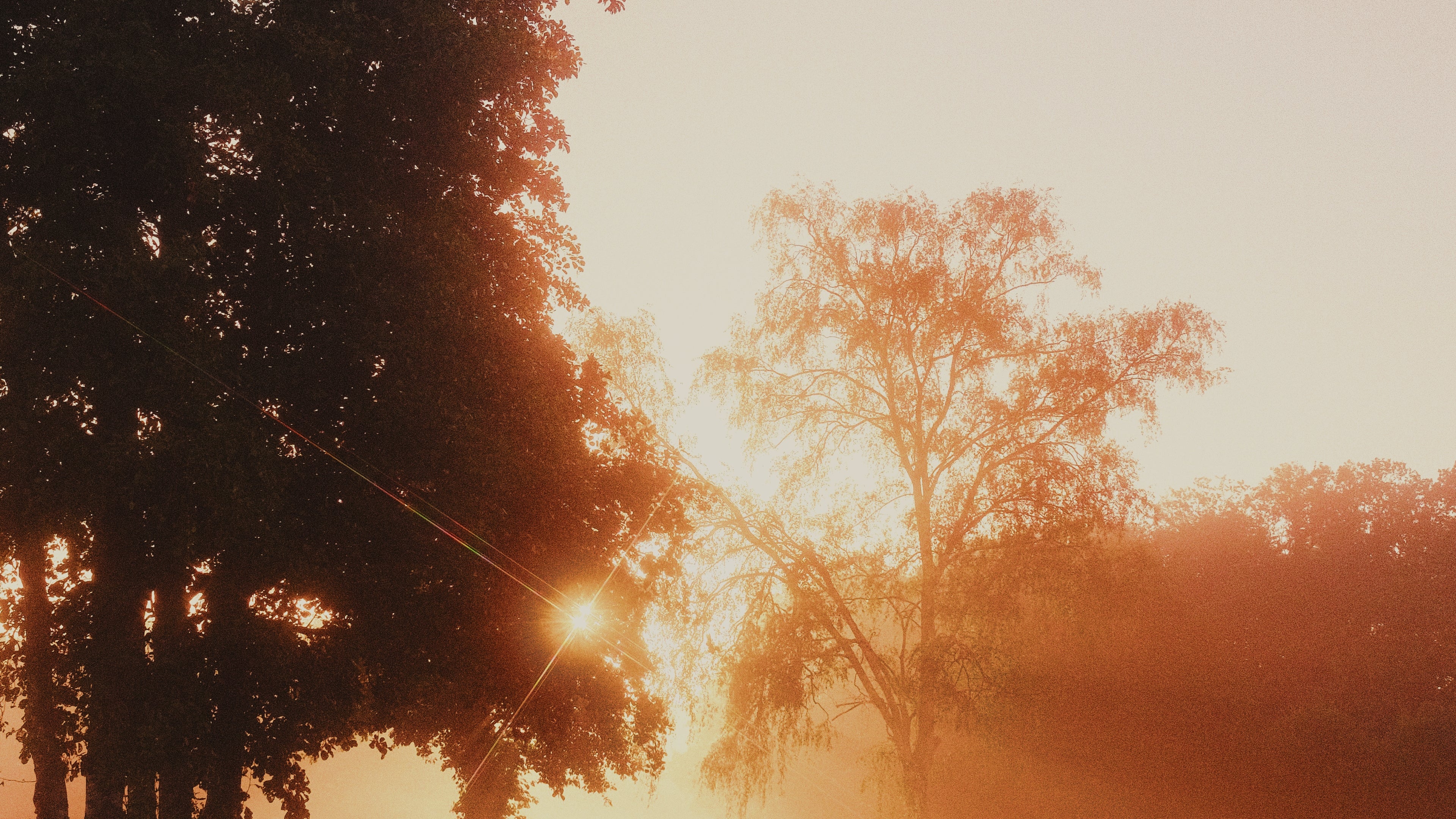 FILMLAB: TEXTURE + COLOR - Image 9