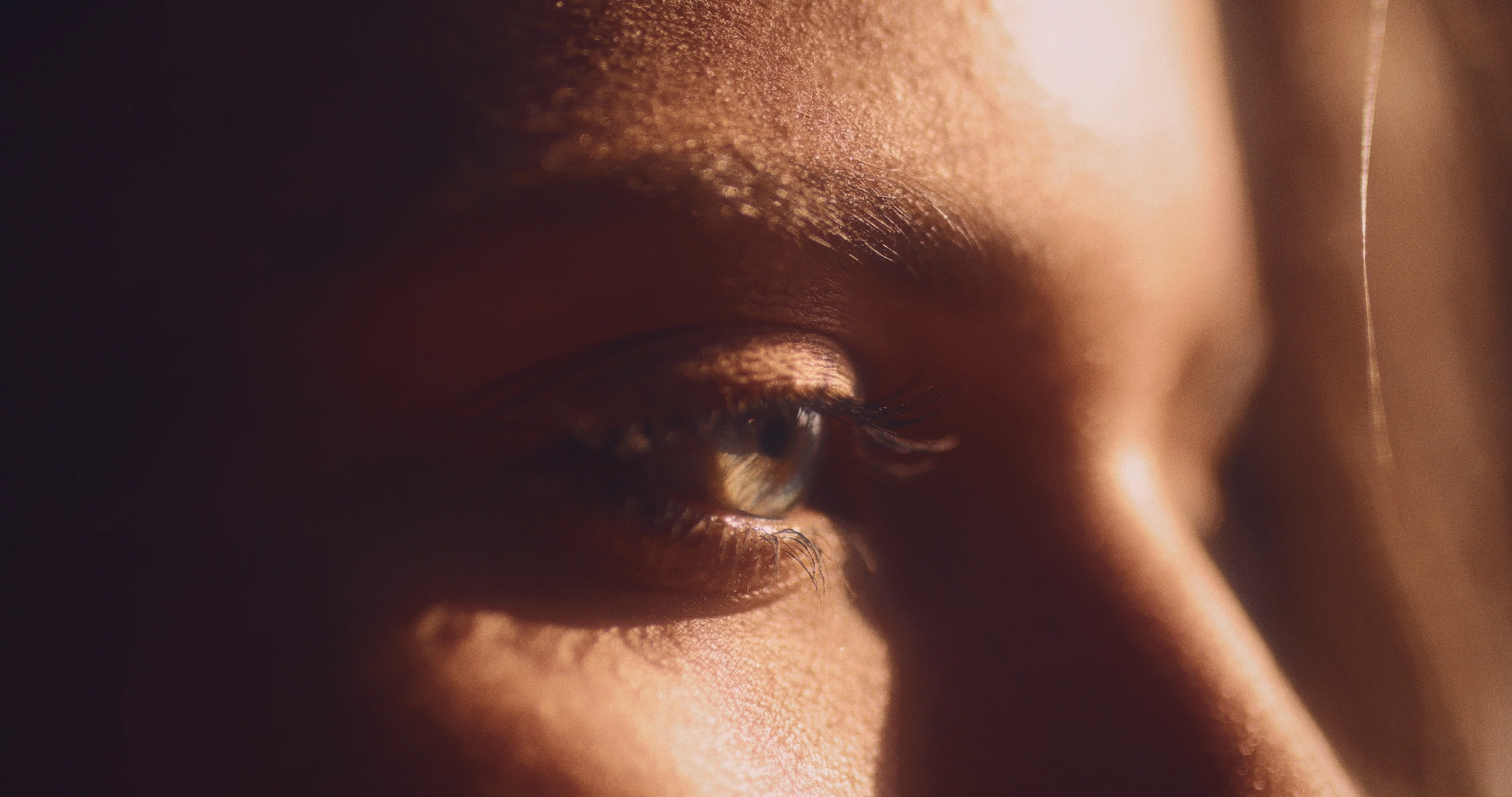 LARGE FORMAT - Image 3