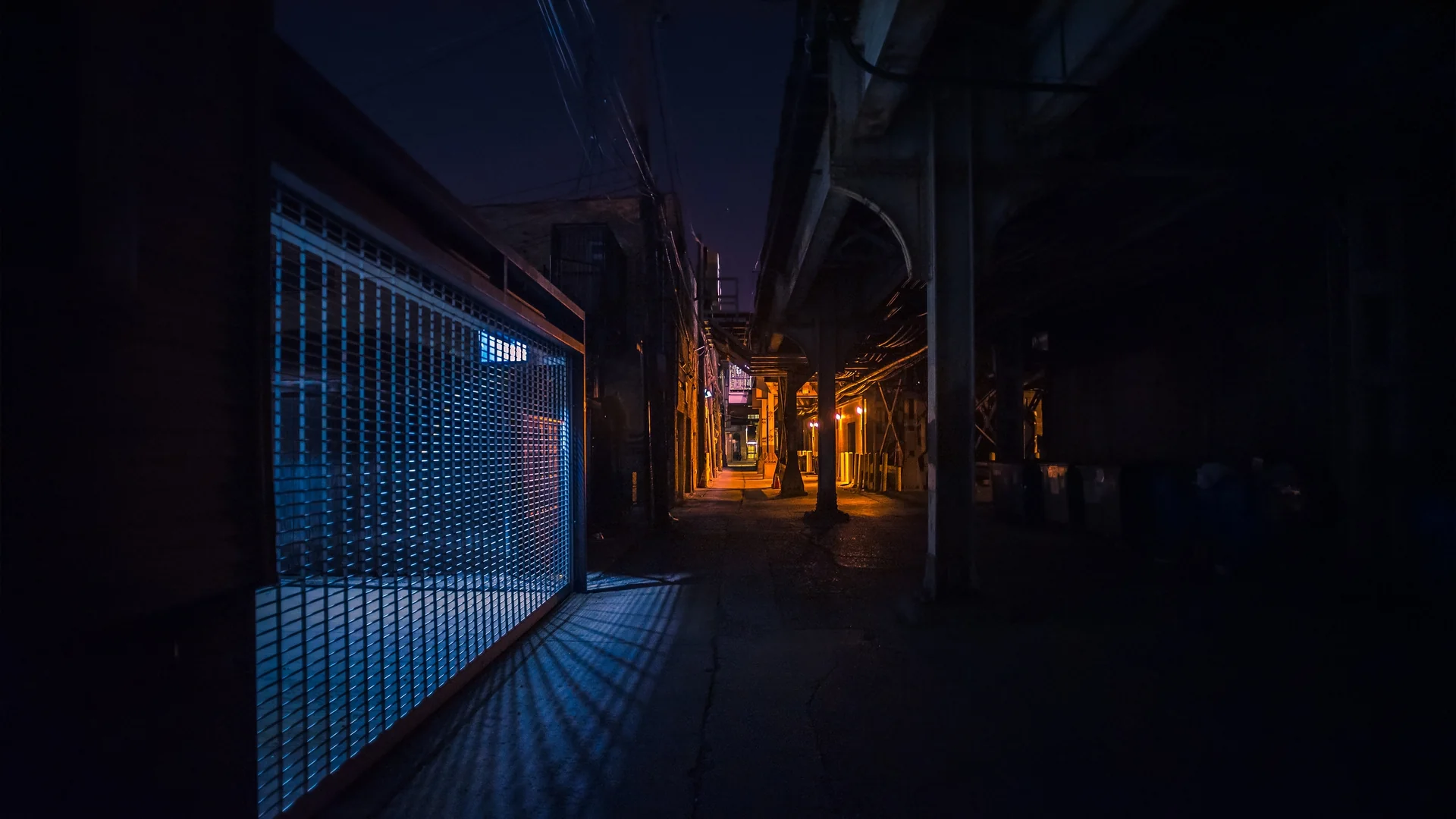 LOWLIGHT - Image 4