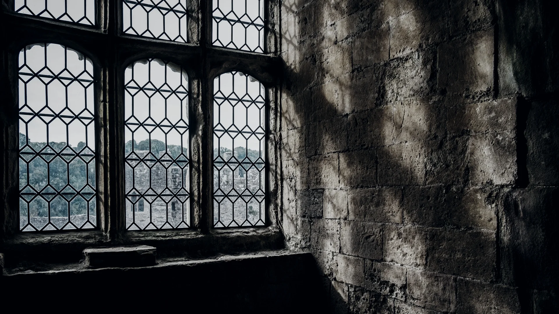 ORTHOCHROMATIC - Image 4