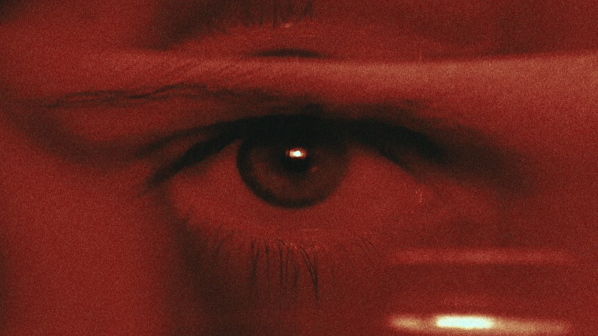 SEVEN - Image 5