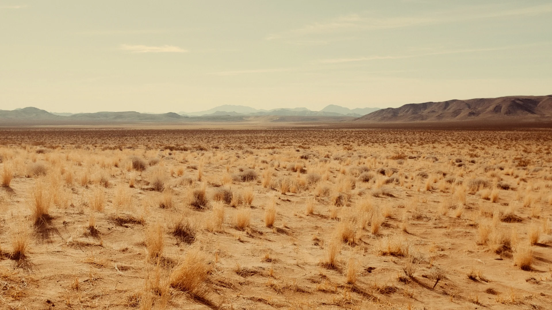 SEVEN - Image 7