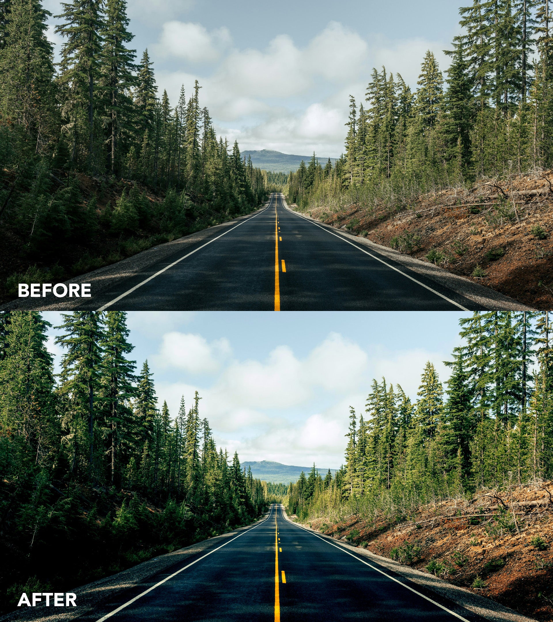 SOCIAL LUT - Image 3