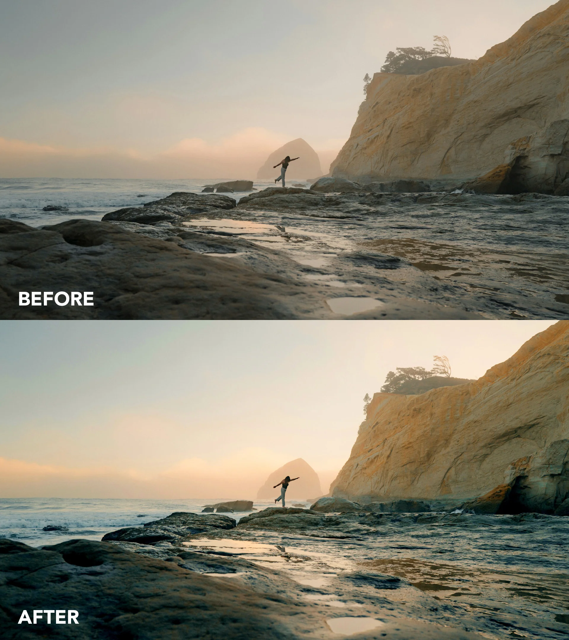 SOCIAL LUT - Image 4