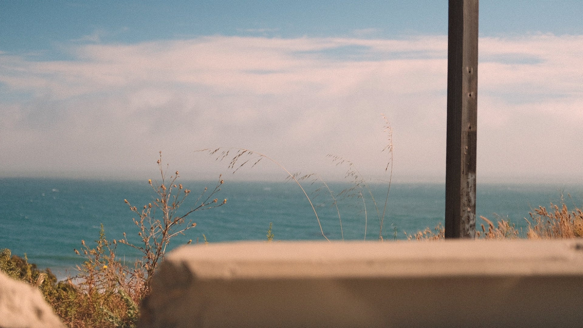 SUNLIGHT - Image 3