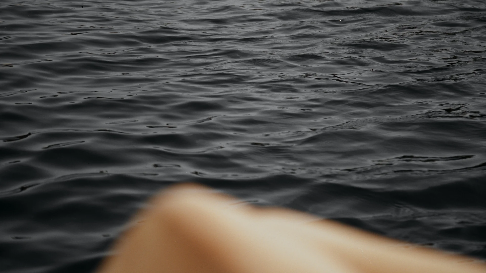 SUNLIGHT - Image 4