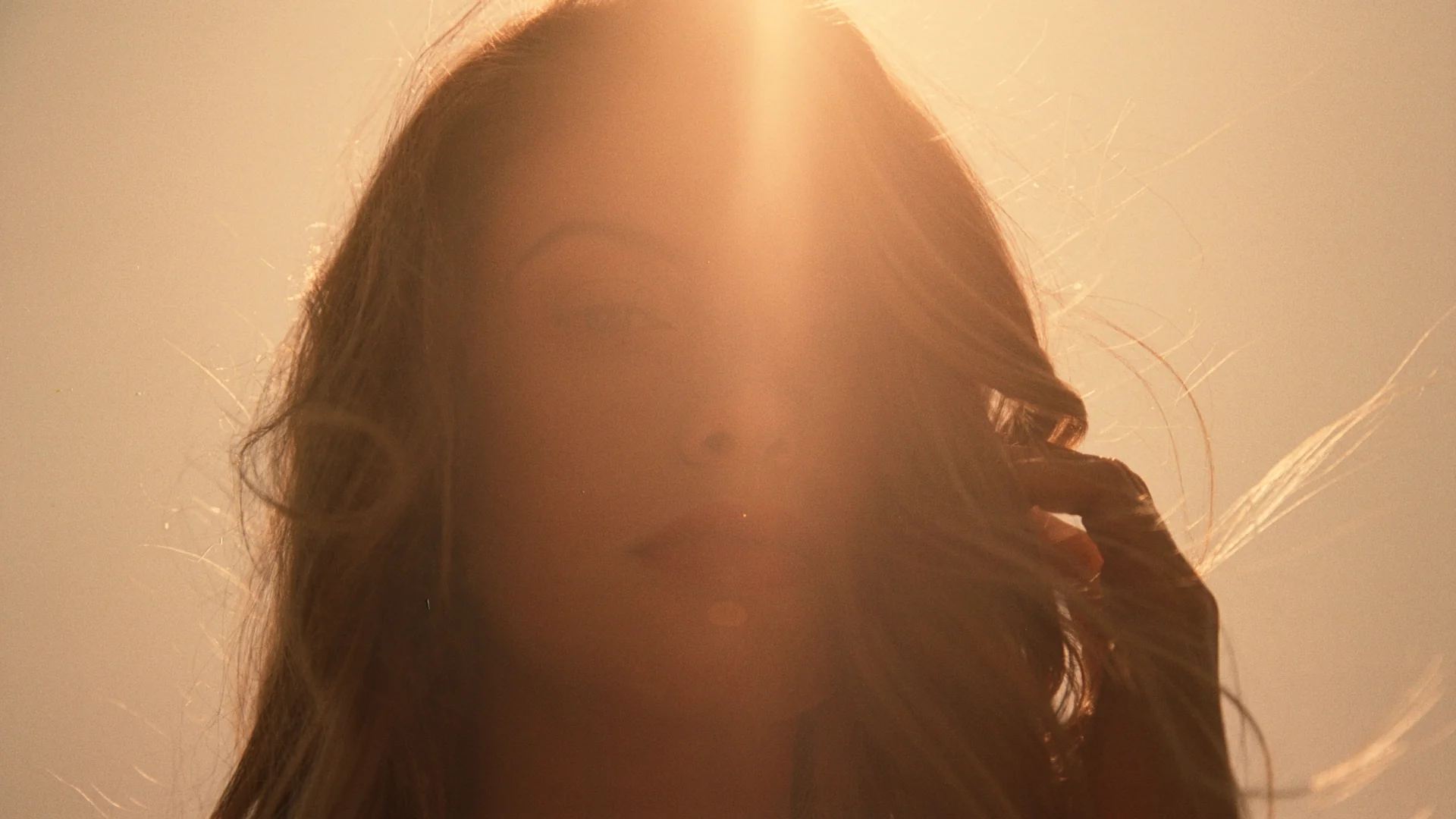 SUNLIGHT - Image 9